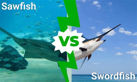 Swordfish and Raunch Epub