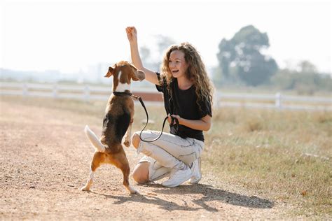 Swordgirlfriend: The Ultimate Weapon For Your Successful Dog Training Journey