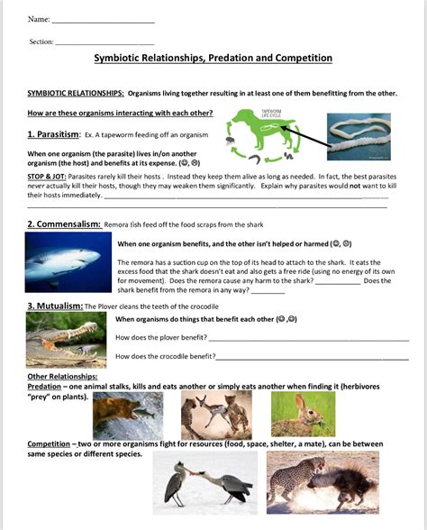 Symbiotic Relationships Answers Epub