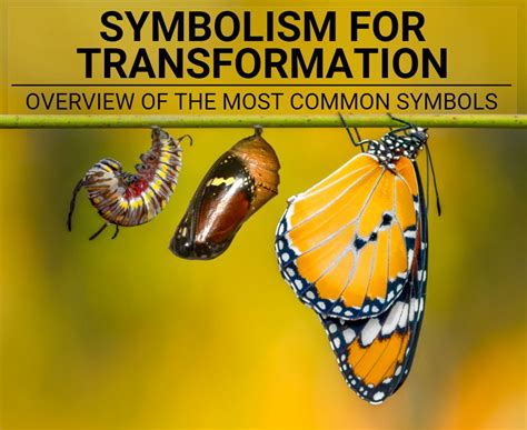 Symbolism of Transformation