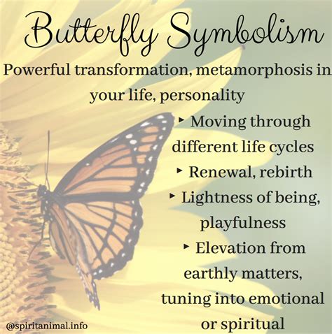 Symbolism of the Butterfly