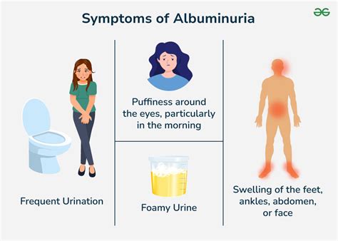 Symptoms of Albumin in Urine