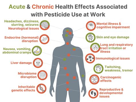 Symptoms of Fertilizer Poisoning in Humans