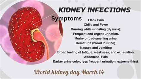 Symptoms of Kidney Infections: