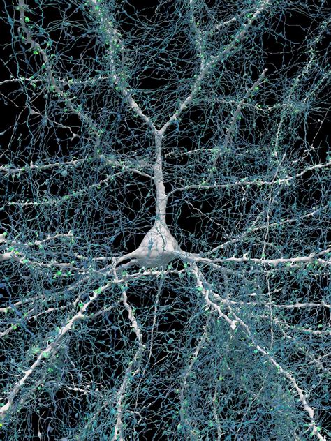 Synapses and Serendipities: Unveiling the Unseen Connections