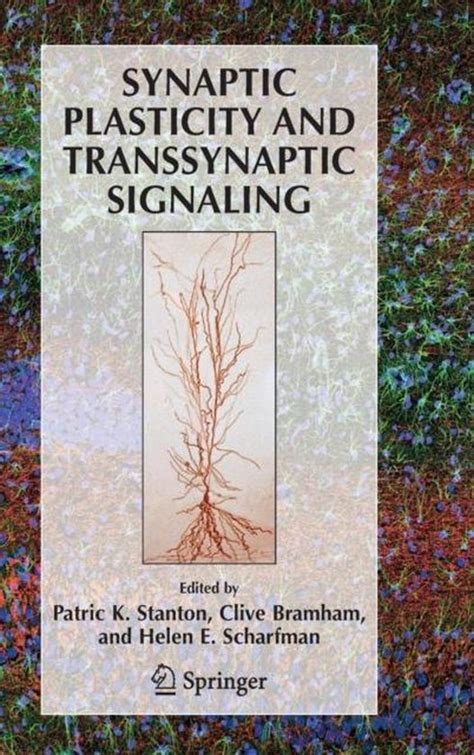 Synaptic Plasticity and Transsynaptic Signaling 1st Edition Doc