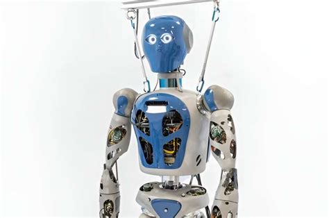 Synergizing Robotics and Aesthetics