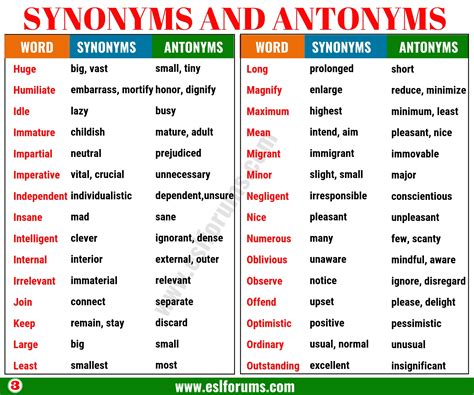 Synonyms and Antonyms Epub