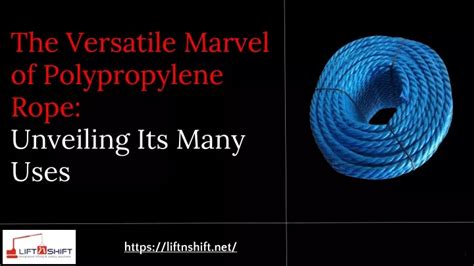 Synthetic Marvels: The Power of Versatility