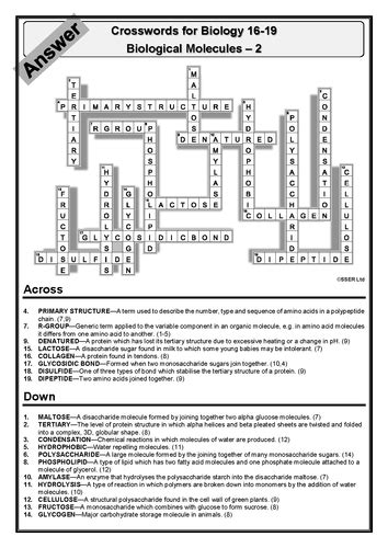 Systematics Biology 17 2 Review Answer Key PDF