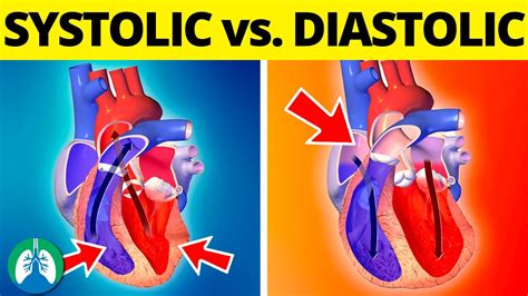 Systolic & Diastolic Pressure: The Components of Blood Pressure