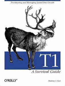 T1 A Survival Guide Kindle Editon