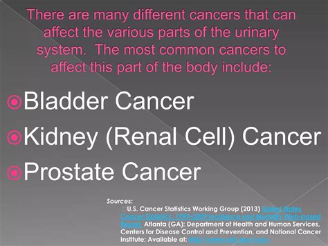 TCT, LT, and NTU: A Comprehensive Guide to Tumor Markers in Urinary Tract Cancers