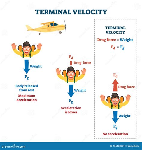 TERMINAL VELOCITY WITH DISK Doc