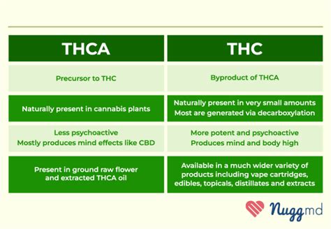 THCa vs THC: What's the Difference?