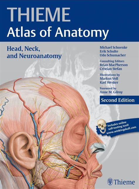 THIEME ATLAS OF ANATOMY 2ND EDITION Ebook PDF