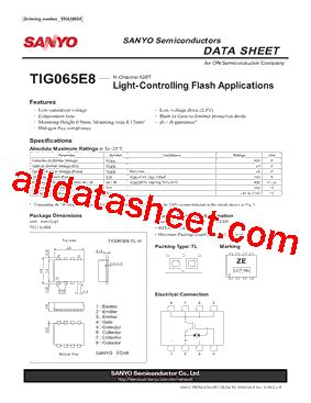 TIG065E8-TL-H: An Overview