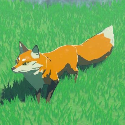 TOTK: Kill Foxes or Not - A Comprehensive Guide