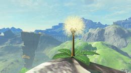 TOTK Dandelion Korok: Unravel the Secrets of Hyrule's Botanical Enigma