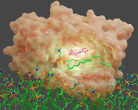 TPNTR1P02T1G: A Novel Protein with Remarkable Therapeutic Potential