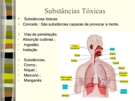 Tabela 1: Efeitos na Saúde de Substâncias Tóxicas