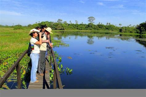 Tabela 1: Estatísticas do Ecoturismo no Pantanal