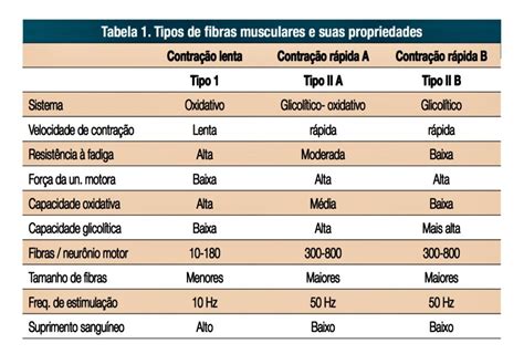 Tabela 1: Tipos de fit bets