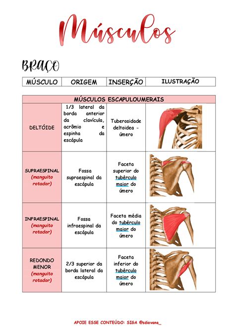 Tabelas Resumindo os Principais Pontos