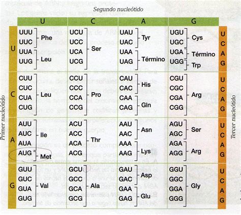 Tablas de Traducción