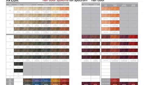 Table 1: A Spectrum of Hair Services