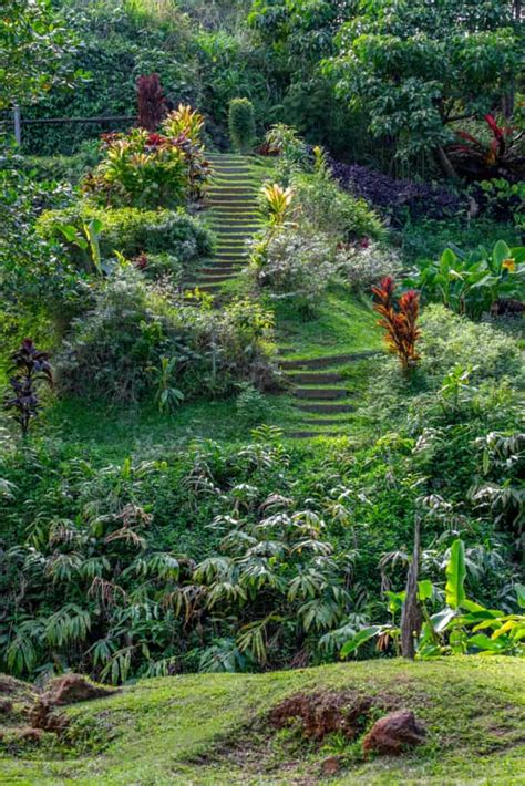 Table 1: Admission Fees of Kauai's Botanical Gardens