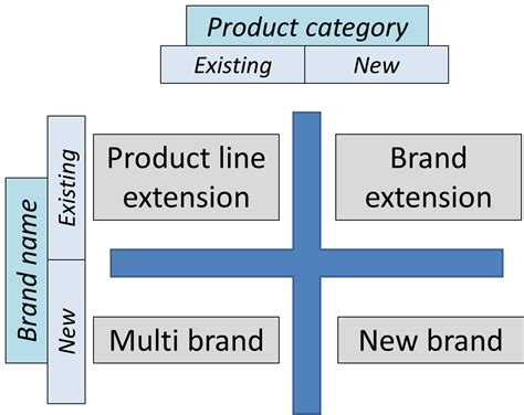 Table 1: Amirawest Product Categories and Popular Brands