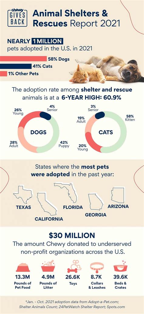 Table 1: Animal Rescue and Adoption Statistics