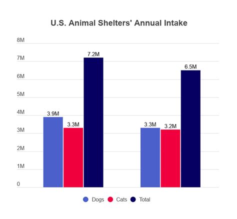 Table 1: Animal Shelter Statistics