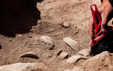 Table 1: Archaeological Findings on Guadalupe Island