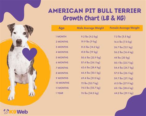 Table 1: Average Weight Range of Pit Bulls by Gender and Age