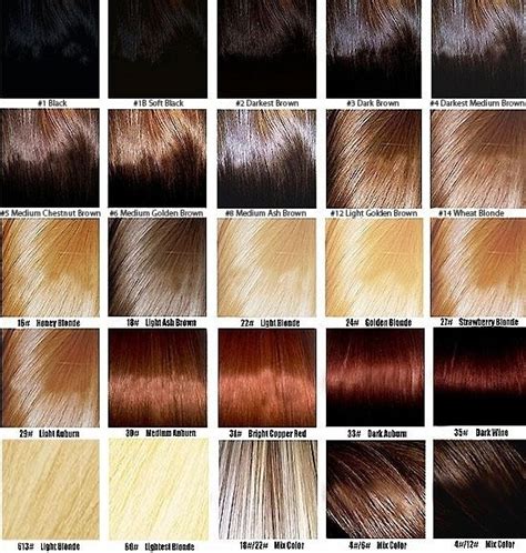 Table 1: Burgundy Hair Color Spectrum