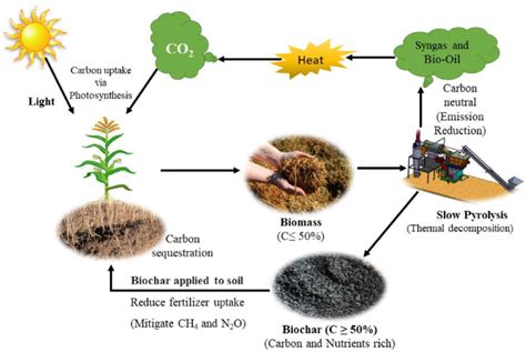 Table 1: Carbon Sequestration and Crop Yield Enhancement by Biochar