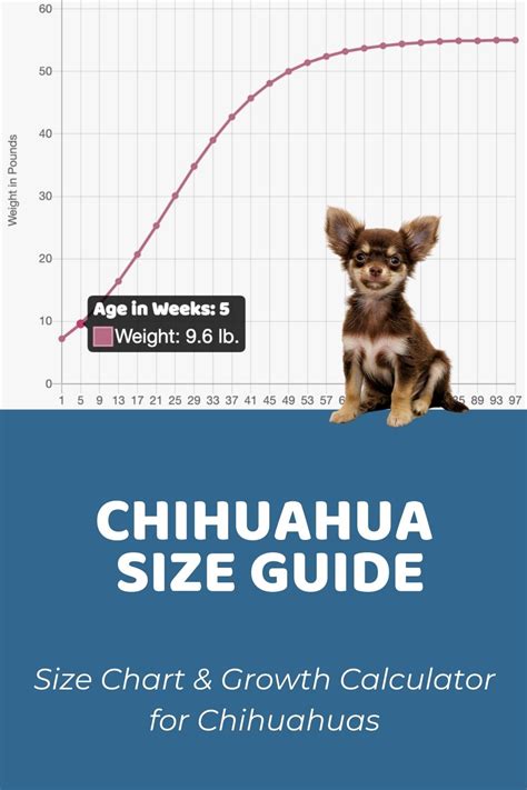 Table 1: Chihuahua Purchase Price Range