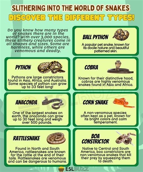 Table 1: Common Dress Snake Species and Their Characteristics