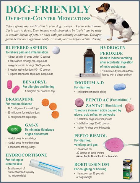 Table 1: Common OTC Pain Meds for Dogs