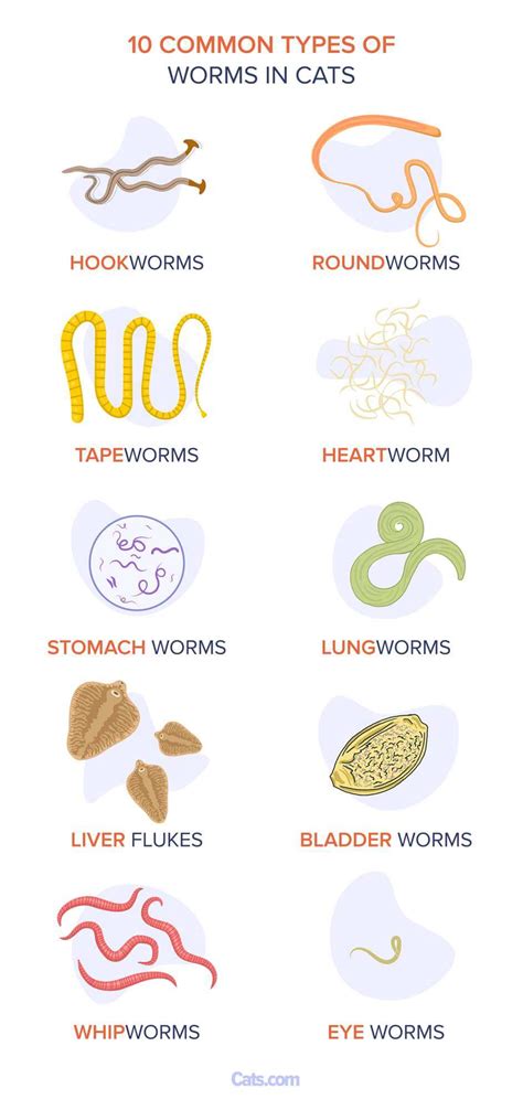 Table 1: Common Types of Worms in Cats