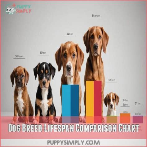 Table 1: Comparison of the Lifespan of the Foggy Dog to Other Breeds of Similar Size and Weight