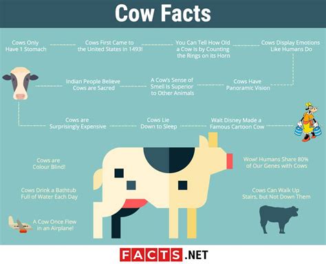 Table 1: Cow Facts