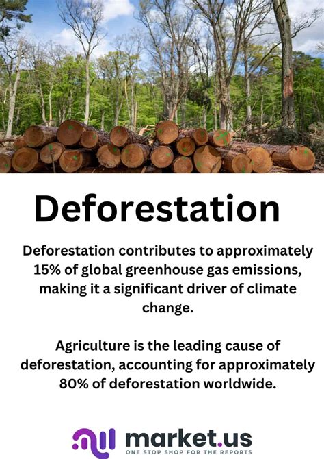 Table 1: Deforestation Statistics