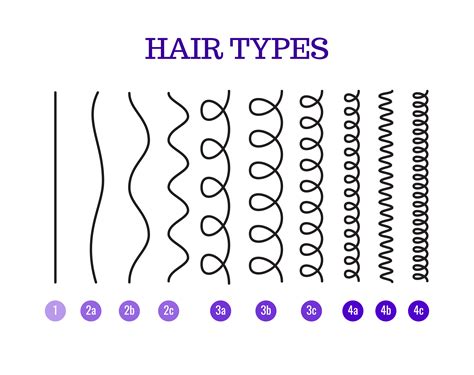 Table 1: Different Types of Curls