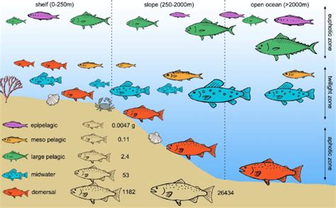 Table 1: Distribution of Marine Fish Shops in Singapore