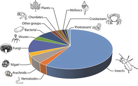 Table 1: Estimated Abundance of Insects and Arachnids in Baltic Amber