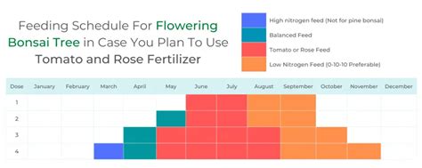 Table 1: Fertilizer Schedule for Bonsai Trees