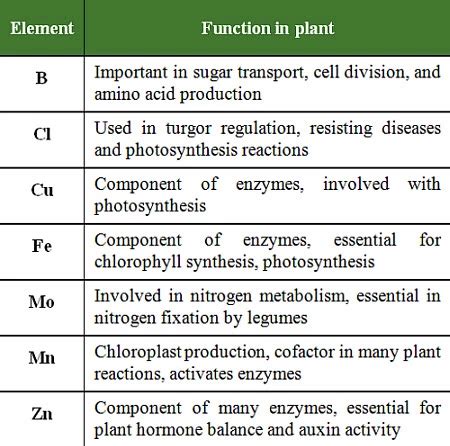 Table 1: Functions of Micronutrients in Plants